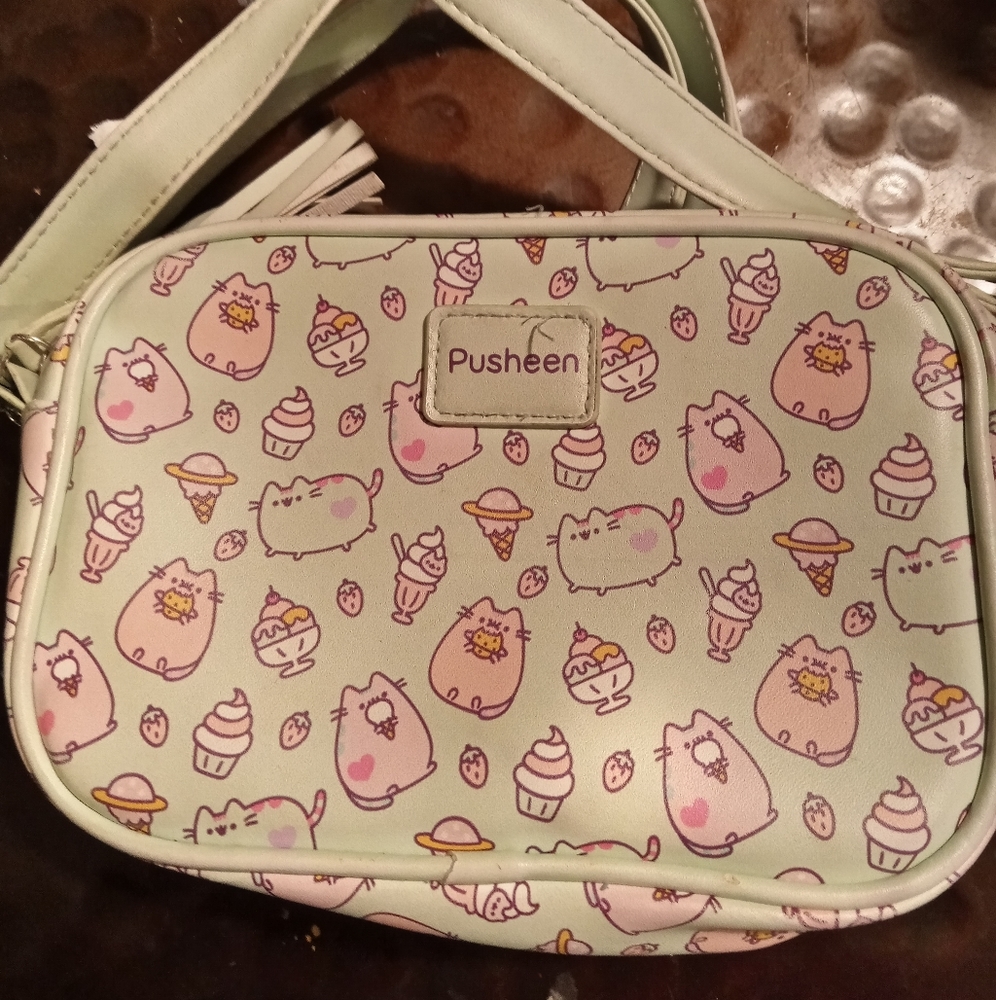 Mint pusheen crossbody bag purse